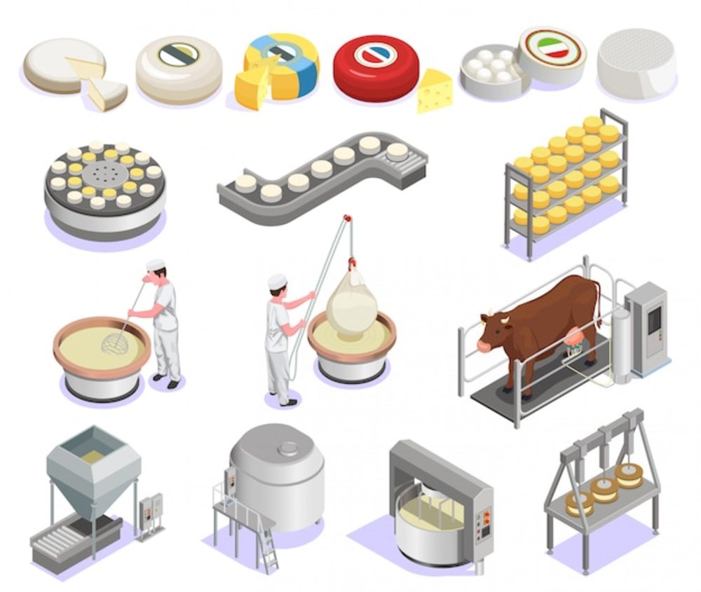 奶酪生产等距装置配有工厂设备和大量成品隔离